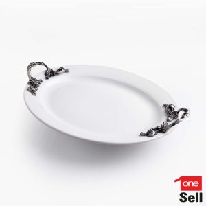 دیس بیضی پیوتر کد ۱۳