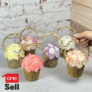 گل سبد داوودی